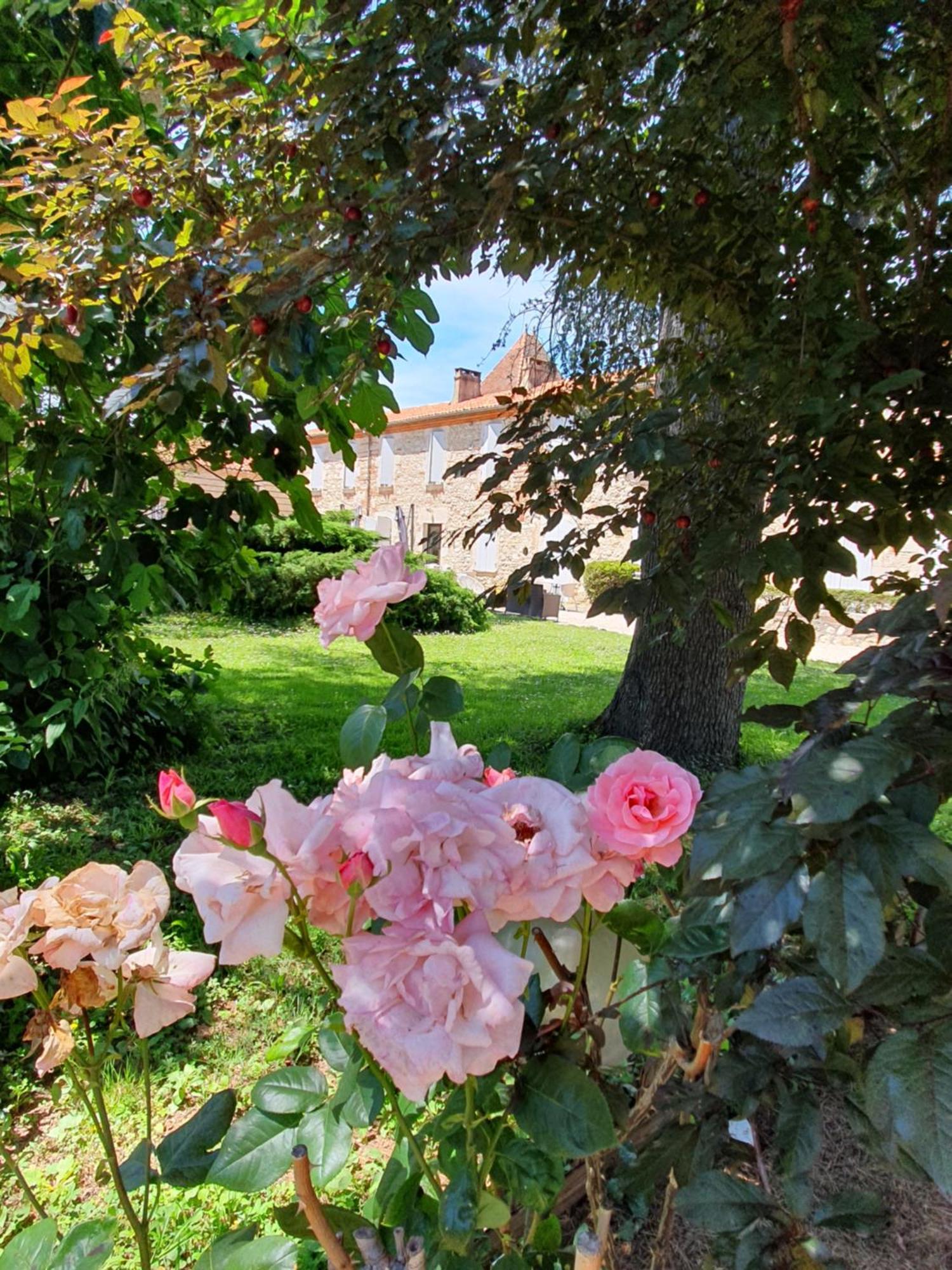 Logis Hotel Le Prince Noir Sérignac-sur-Garonne Zewnętrze zdjęcie